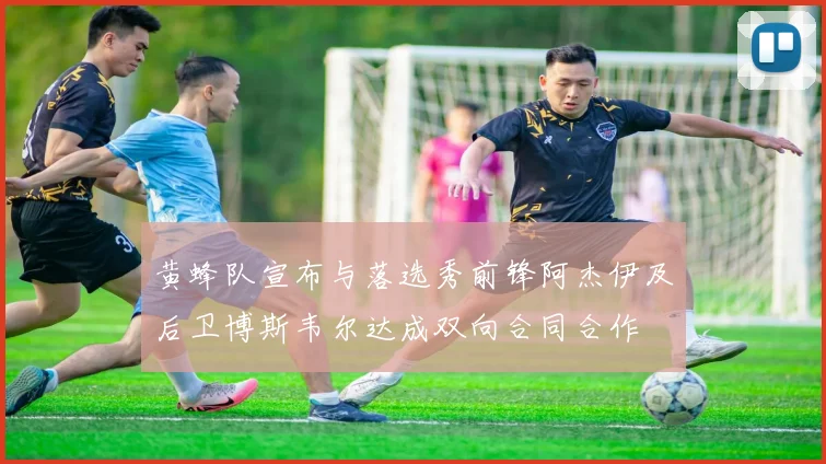 黄蜂队宣布与落选秀前锋阿杰伊及后卫博斯韦尔达成双向合同合作