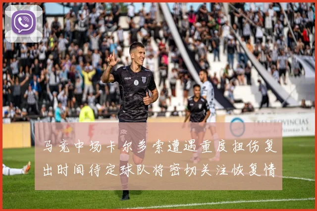 马竞中场卡尔多索遭遇重度扭伤复出时间待定球队将密切关注恢复情况